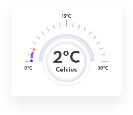 Temperature Monitoring System