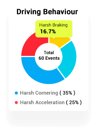 Driver Behaviour Monitoring