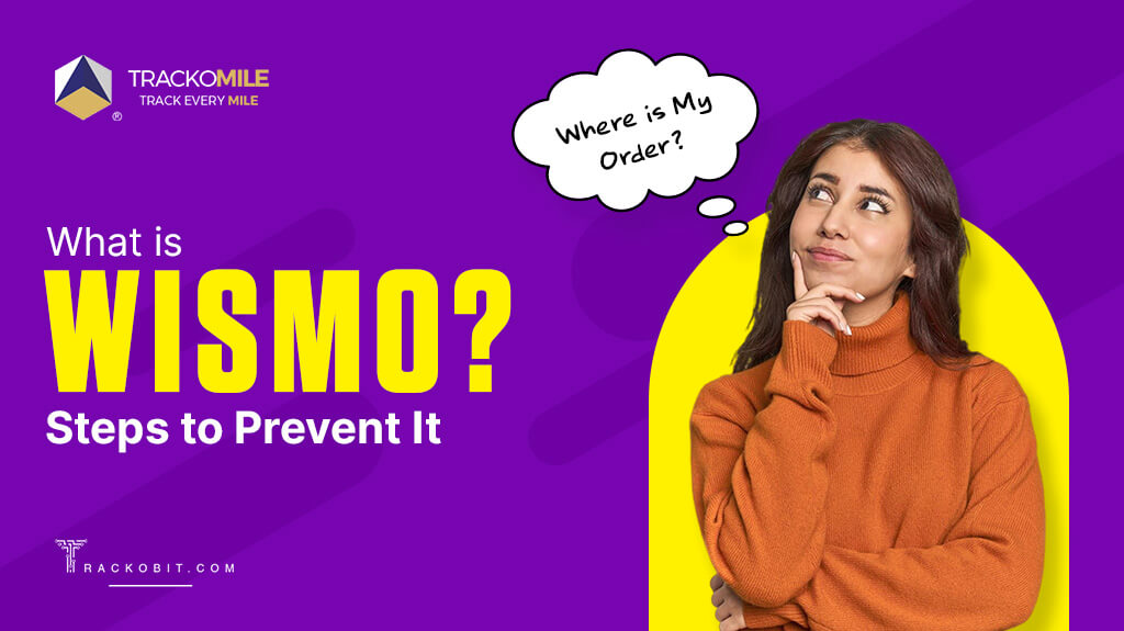 What is WISMO Steps to Prevent It